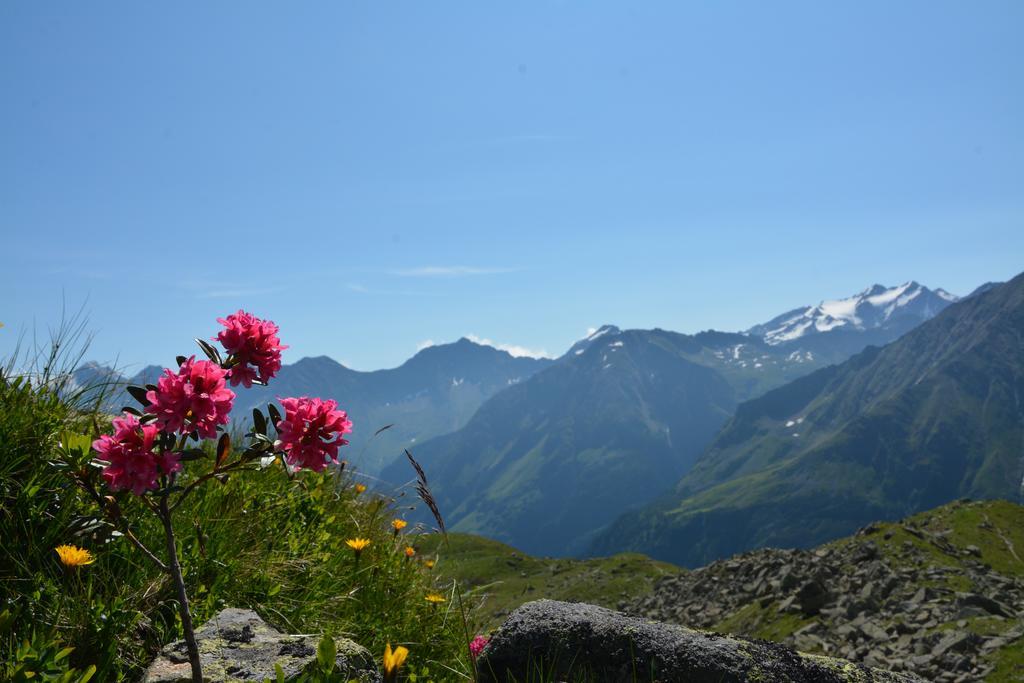 Pension Am Rain Neustift im Stubaital Exterior photo