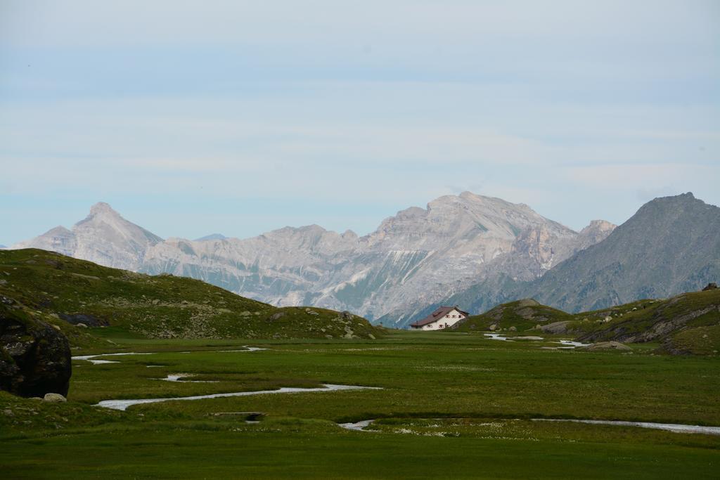 Pension Am Rain Neustift im Stubaital Exterior photo